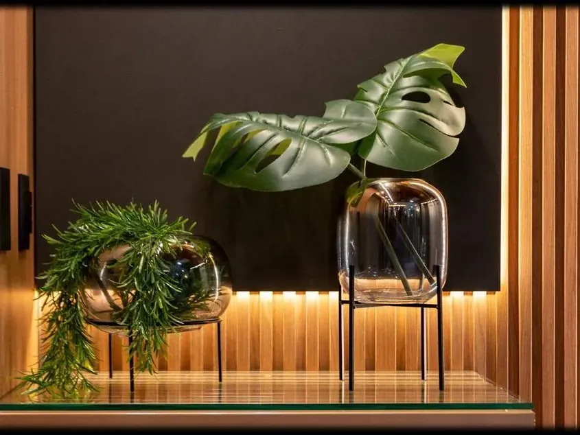 Nicho iluminado com vasos de vidro e folhas de costela-de-adão